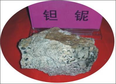 钽铌矿选矿技术